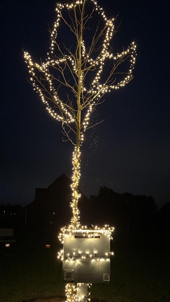 Lichtjeswandeling in LICHTaart!
